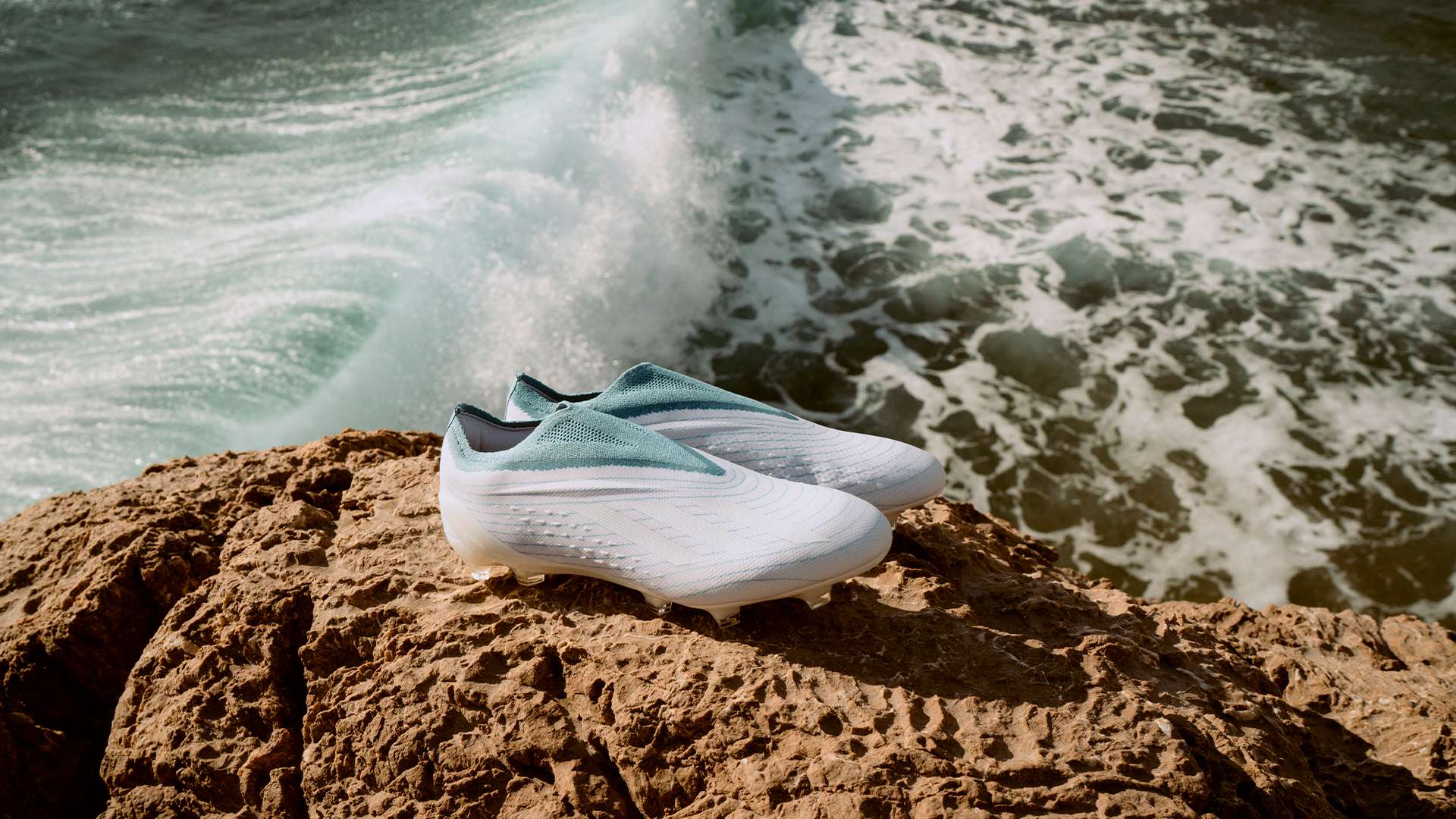 在转会市场 在转会市场